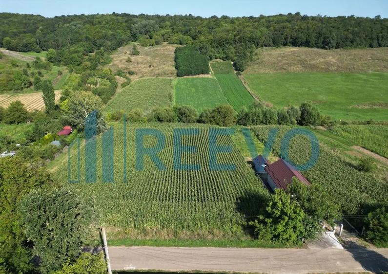 Teren intravilan de vanzare, Sat Bogdan?ti, Com. Traian - 8