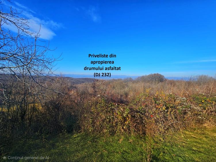 Teren intravilan 2.000 mp – Seciu, 2 deschideri, Priveliște panoramica - 6