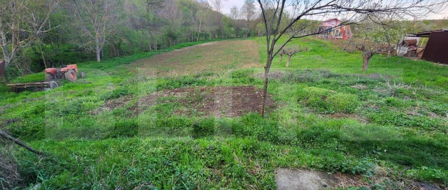 Teren 6650 mp, cu casa nefinalizata de 111 mp, in Nisipoasa - 1