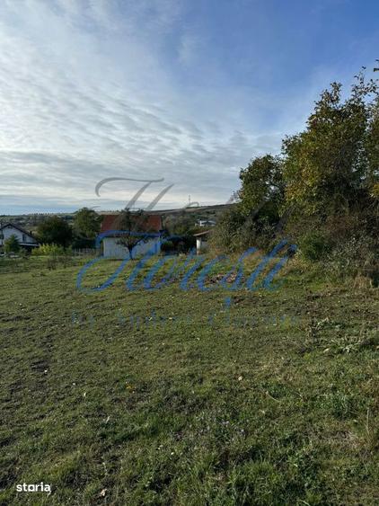 Teren extravilan 1829 mp front la strada 13.28 m zona Fanate - 2