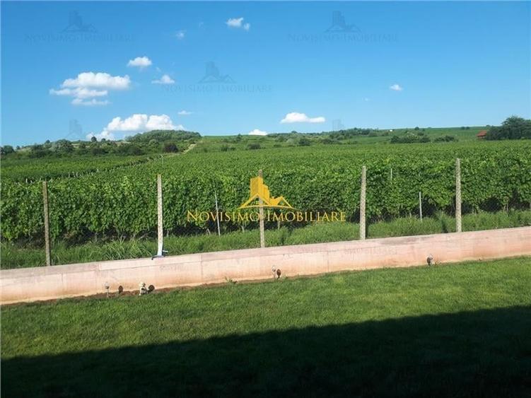 TEREN IN ZONA CHITORANI - 1