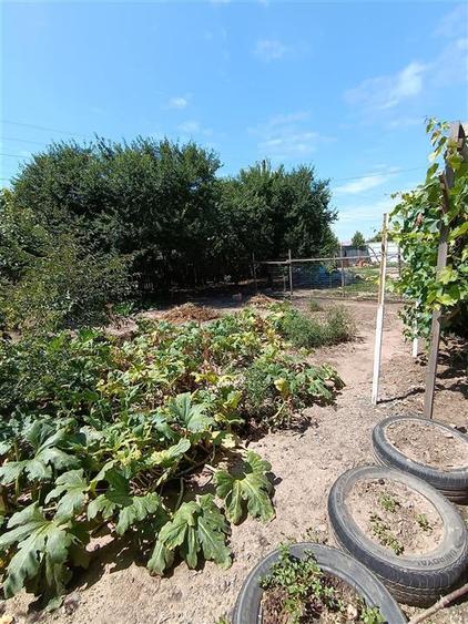 Casa de vacanta, Cazasu cu suprafata generoasa teren 824mp - 10