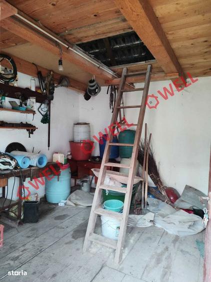 Proprietate cu 2 case de vanzare in Tama?falau! - 9