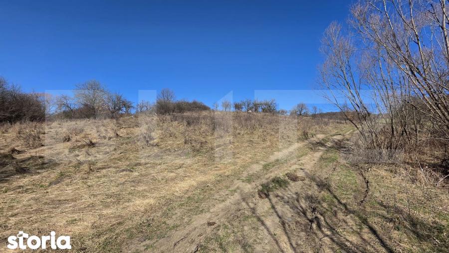 Teren de vanzare de 8,567MP in zona: Leoni - 9