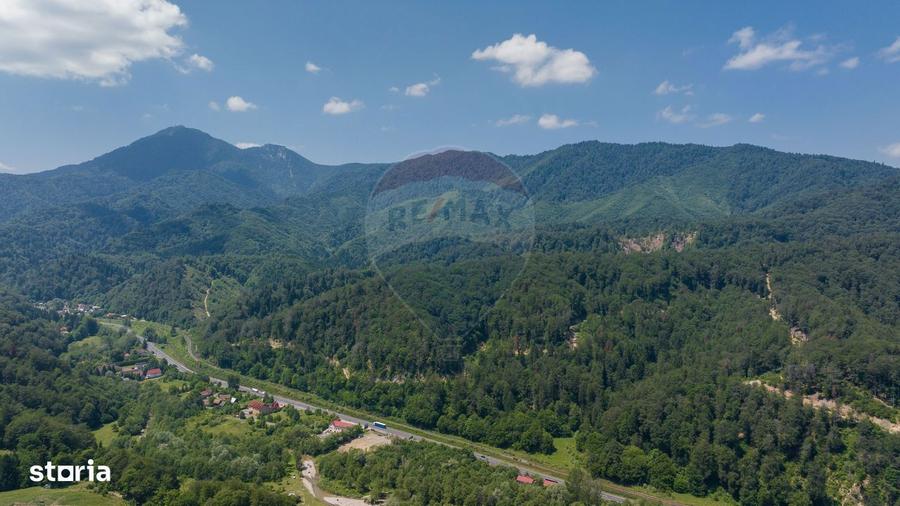 TTeren intravilan, 3500 mp, Dambu Morii - 6