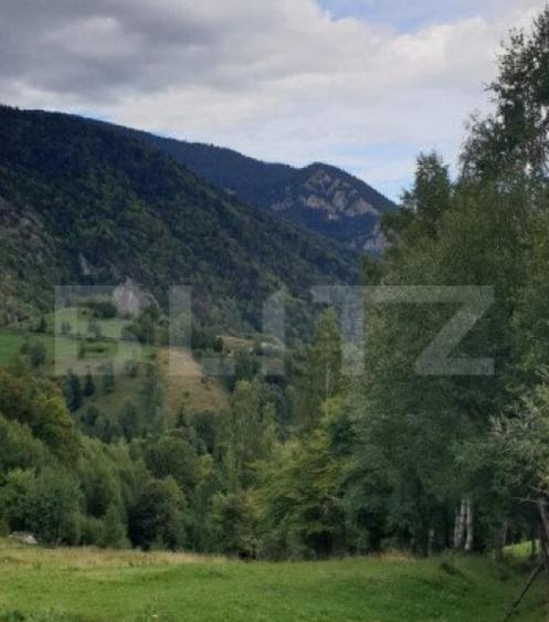 Teren 13.570 mp, Moieciu Pestera - 6