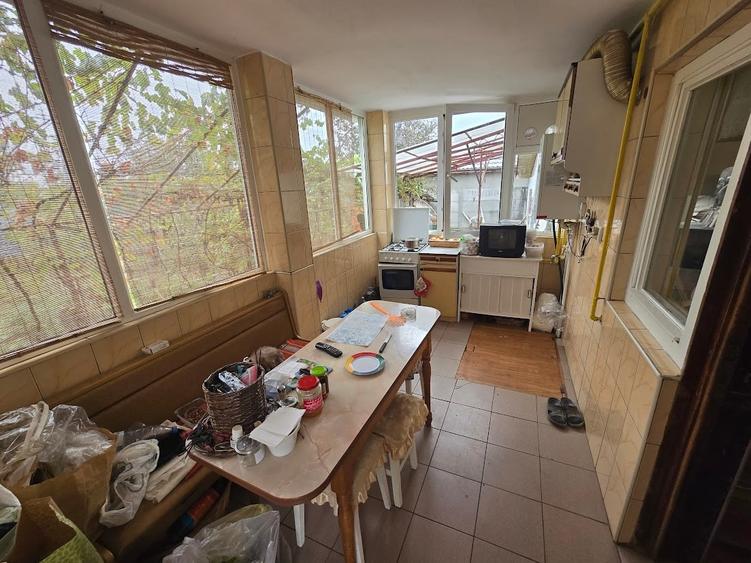 Magurele/Darasti-Ilfov/Vila individula cu crama,garaj,foisor,livada si solar - 12