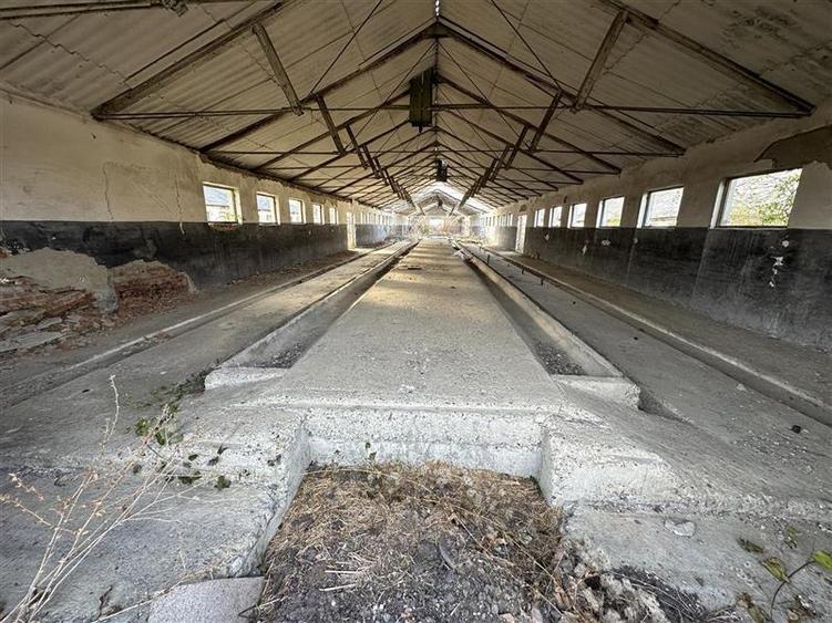 Platforma industriala 27.000mp - Racova - Buhusi - 9