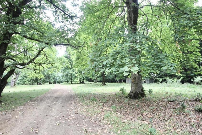 Teren 4713 mp investitie Imobiliara | Poiana Brasov - 5