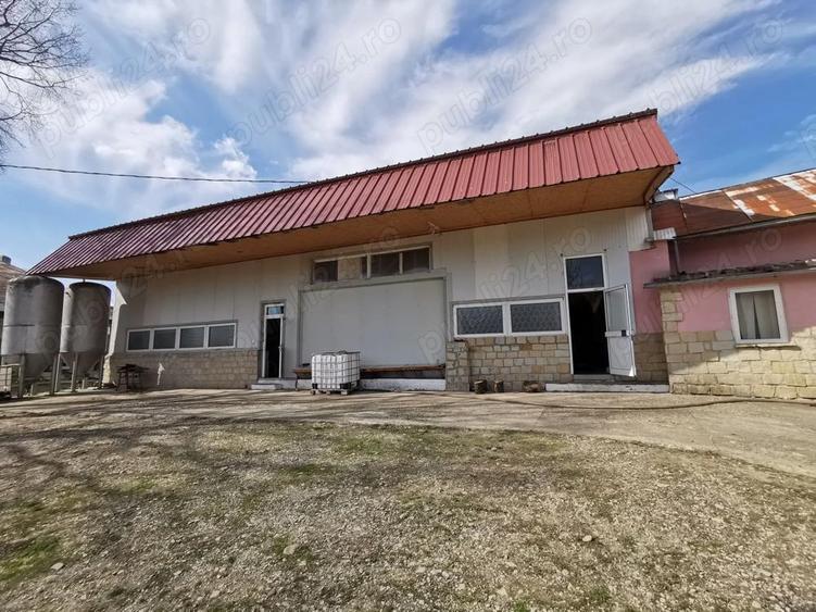 Inchiriere Asociere Crama tradi?ionala + curte mare in Podgoria Vrancea - 3