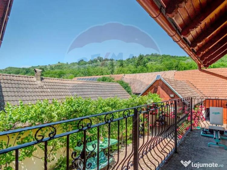 Casa DE VIS Feldioara/ Ucea/ Fagaras- DE VANZARE! - 7