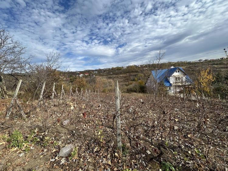 Teren intravilan 766mp,  Dealul Zorilor- Mun IASI - 1