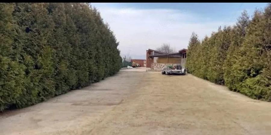 Teren de 2200 mp, în Central