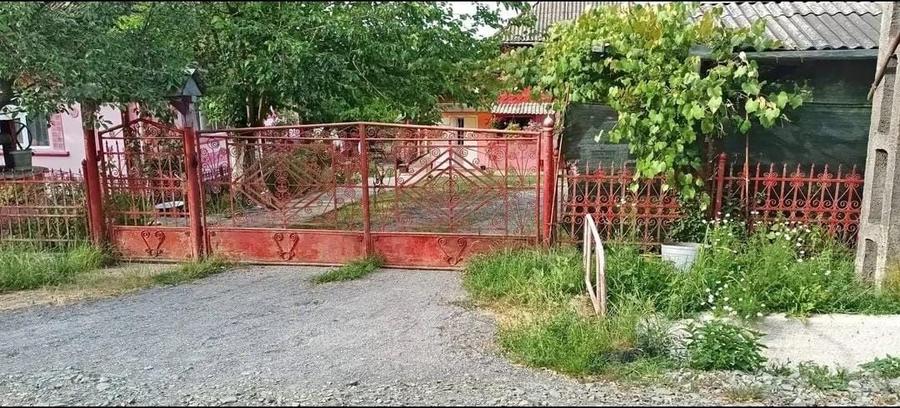Casă cu 2 camere în Ariniș