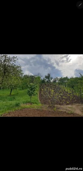Casă cu 3 camere cu Teren 5000 Mp în Mozăceni