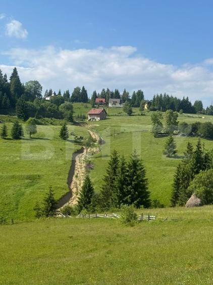 Teren Construcții extravilan de 1800 mp, în Nord