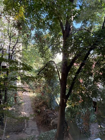 Garsonieră în Complex Studențesc