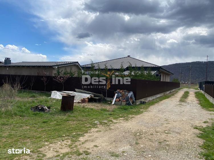 Teren de vanzare Dumbrava Rosie 20.000 Euro 900mp - 11