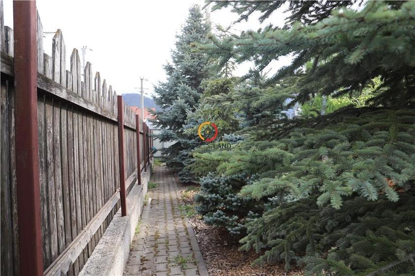 teren  intravilan18.000 mp pentru dezvoltare comerciala - 8