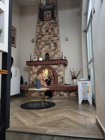 De inchiriat vila Bulevardul Ferdinand - 38