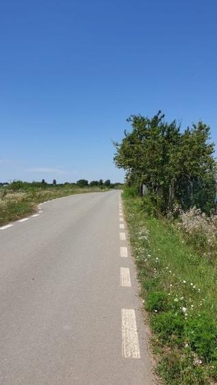 Teren de vanzare 7.400mp Ciolpani -Intravilan /ideal pentru investitie - 3