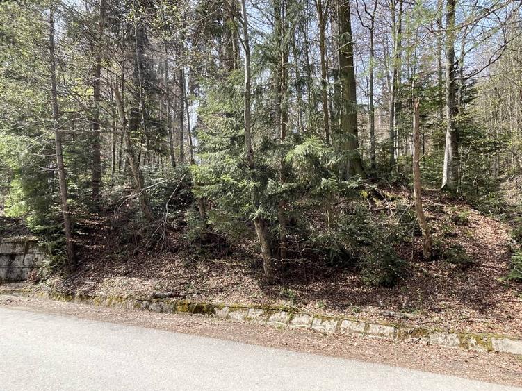 Teren deosebit de vânzare în Sinaia – cartier exclusivist Furnica. - 6