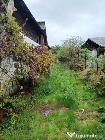 Casa renovabila, cu un teren 2000 m, intr-o zona linistita - 15