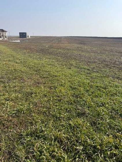 Teren Intravilan Pielesti, 7274mp - 3