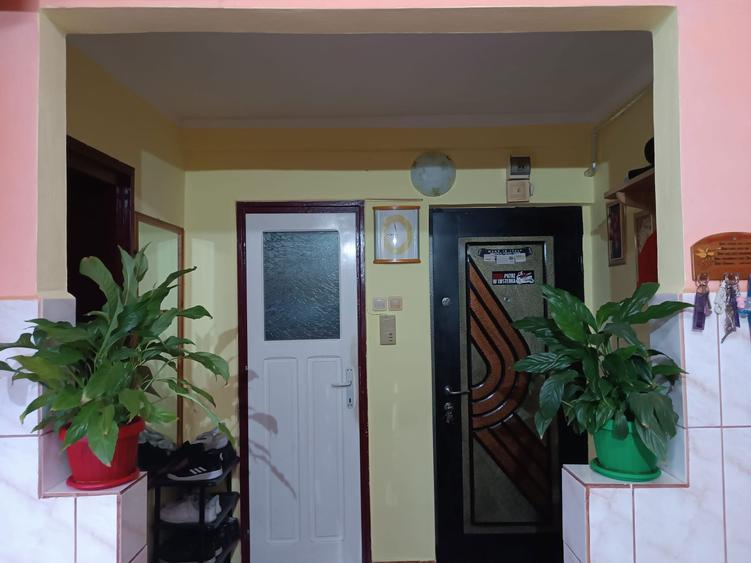 Apartament cu 2 camere, etj. 1 - 1