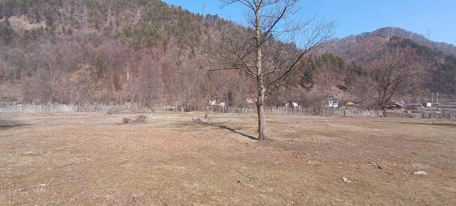 Vand teren intravilan Brezoi - 6