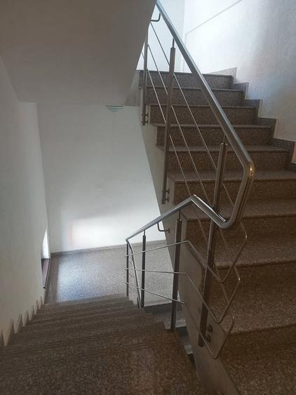 Berceni, Dimitrie Leonida Metrou - 9