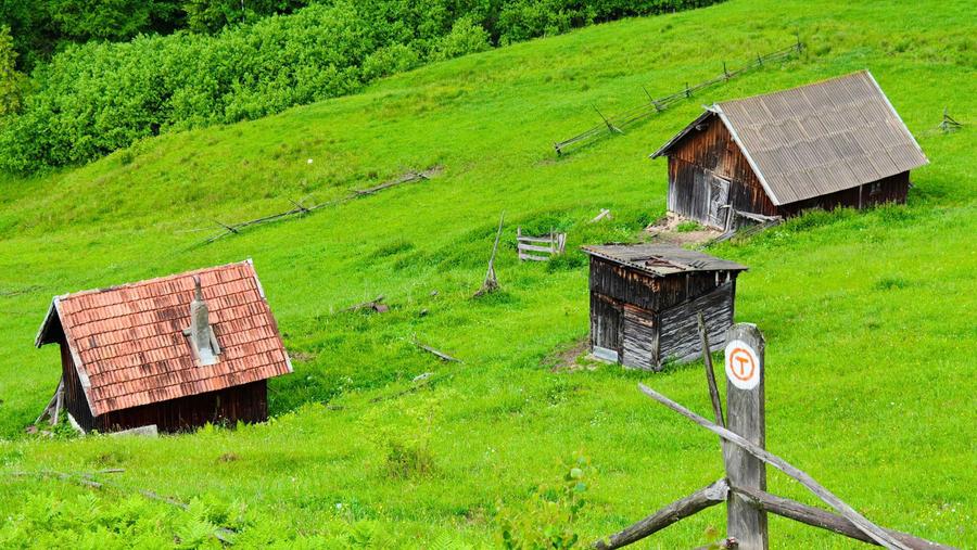 Unicat! 17 Ha Hectare teren intravilan + extravilan in Fundu Moldovei - 8