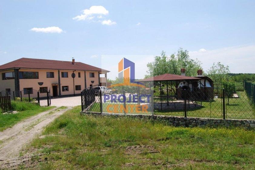 Vila 8 camere, lac, crama, 1600 mp teren, Vedea - 13