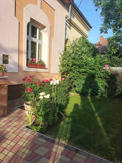 BRASADAS vinde vinde casa individuala zona TITULESCU - 3