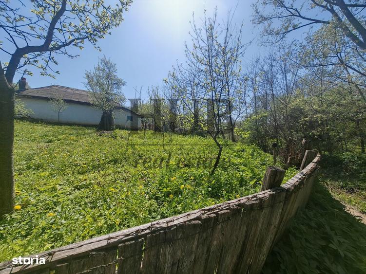 Casa batraneasca in Crihan/Magura | de vanzare - 1