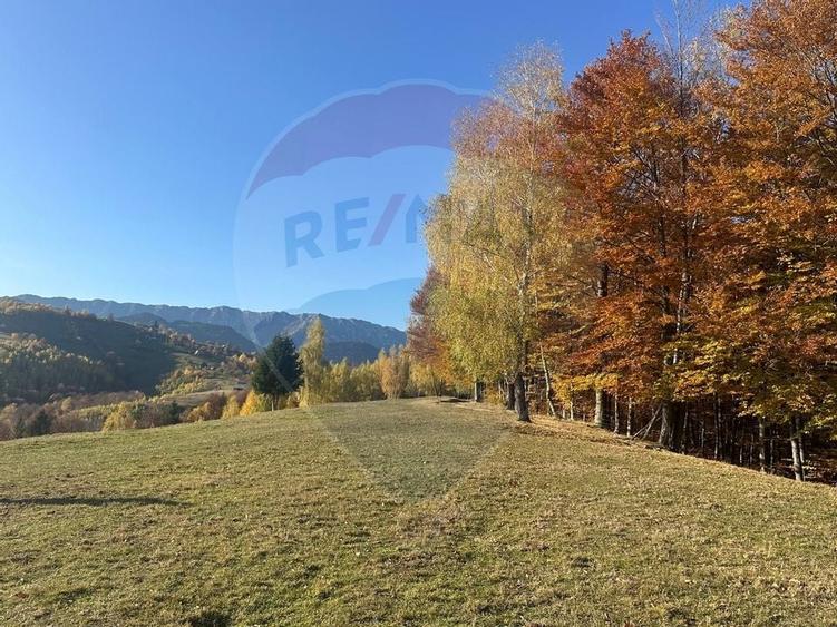 Oportunitate de investiție ! Teren de vis în Pestera - 125.370 mp - 27