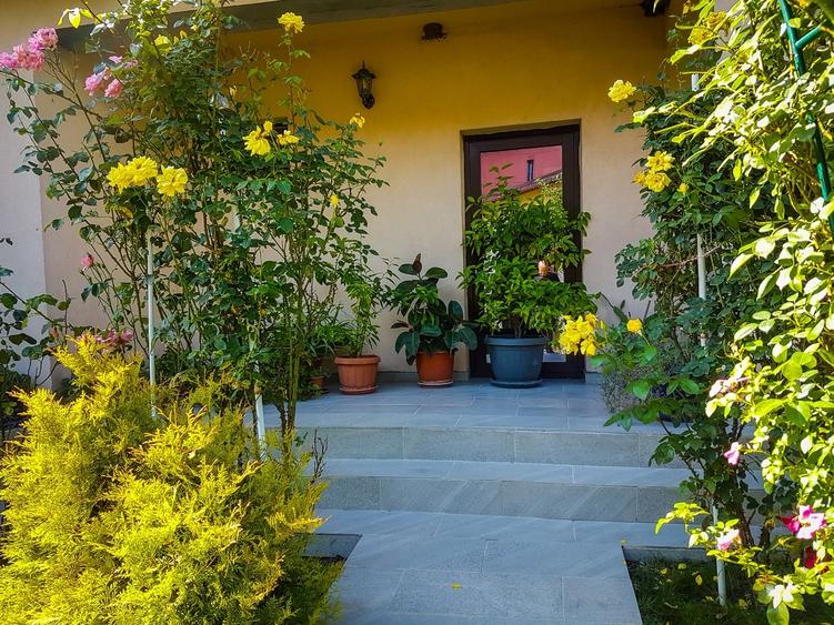 Tartasesti, Gulia - 15