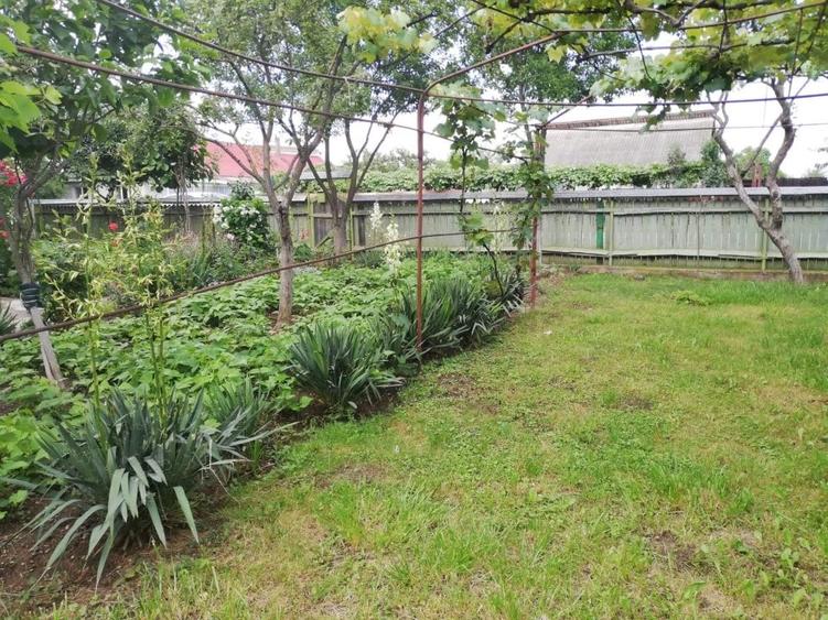 Casa 250 mp. si teren aferent 1000 mp Savinesti Neamt - 10