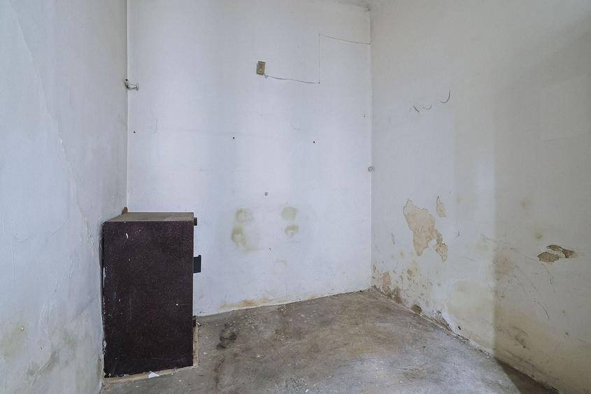 PIATA ROMANA - Calea Dorobanti, ASE | Vila - Spatiu Comercial - 28