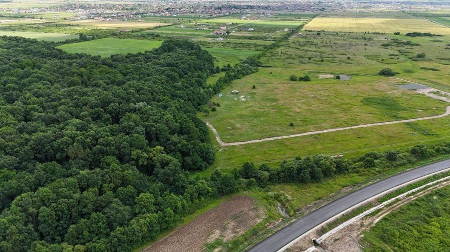 TEREN 625 MP  MOSNITA VECHE - 2