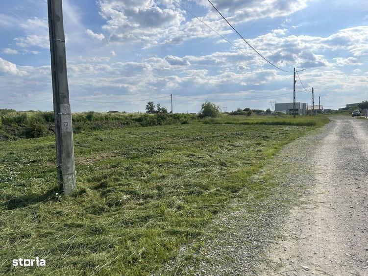 Teren de vanzare Osorhei ! - 4