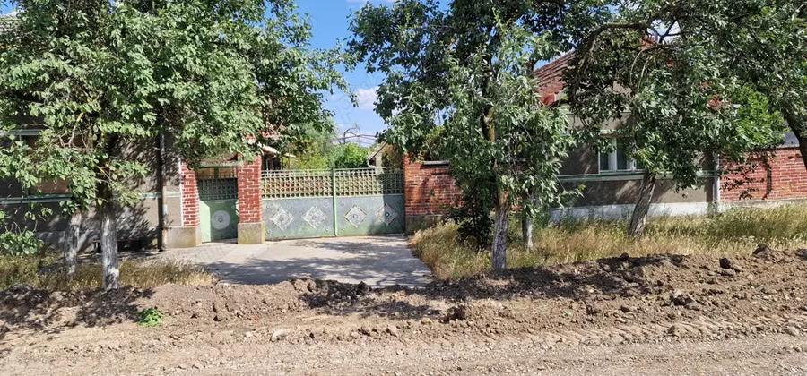 Casa si teren ideal pentru legumicultura - 7