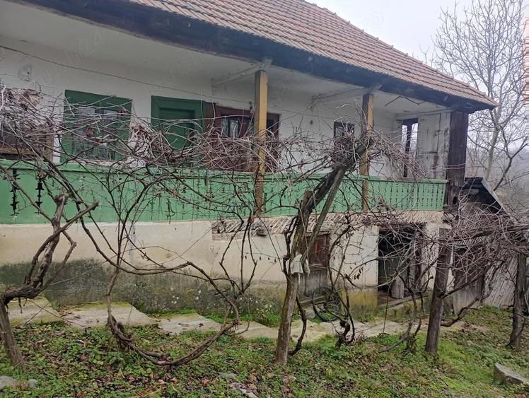 Casa la tara ,in stare buna - 3