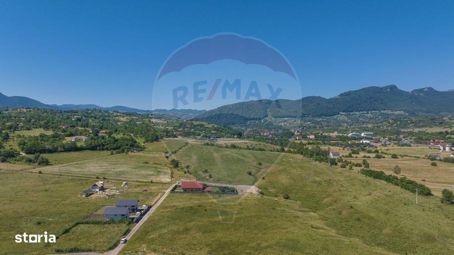 Teren Tohanu Nou, intrare Sohodol, 4800mp - 5