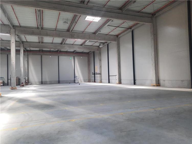 Spatiu Industrial - 3000 mp - Logistica - Productie - Depozitare - 5