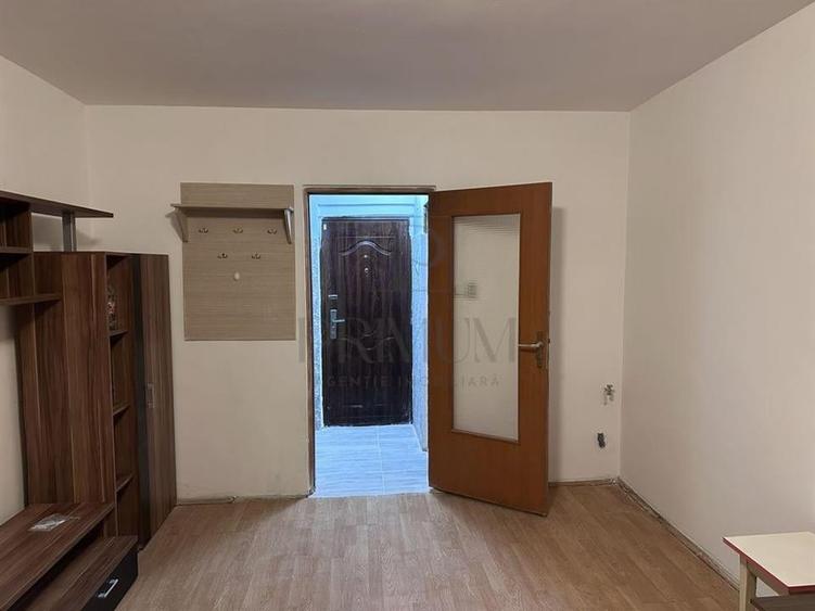 Apartament 1 camera- Blascovici - 1