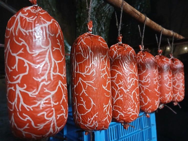 Inchiriez /Colaborez - 8