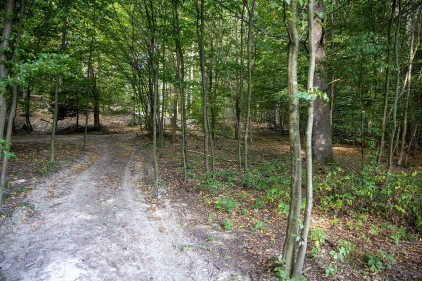 Teren intravilan 3300mp- Vulcan Brasov langa Lac si padure - zona turistica - 19