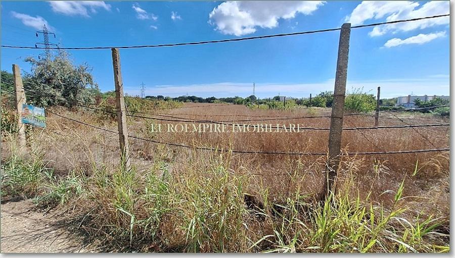 Terenuri de vanzare in Lazu, Galla Ballroom - 530 mp - 3