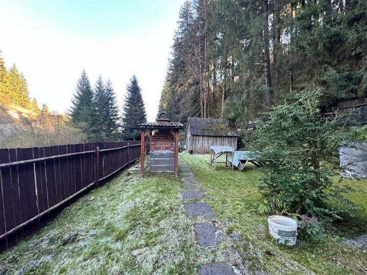 Casa de vacanta (Ciobotani, jud. Mures) - 19